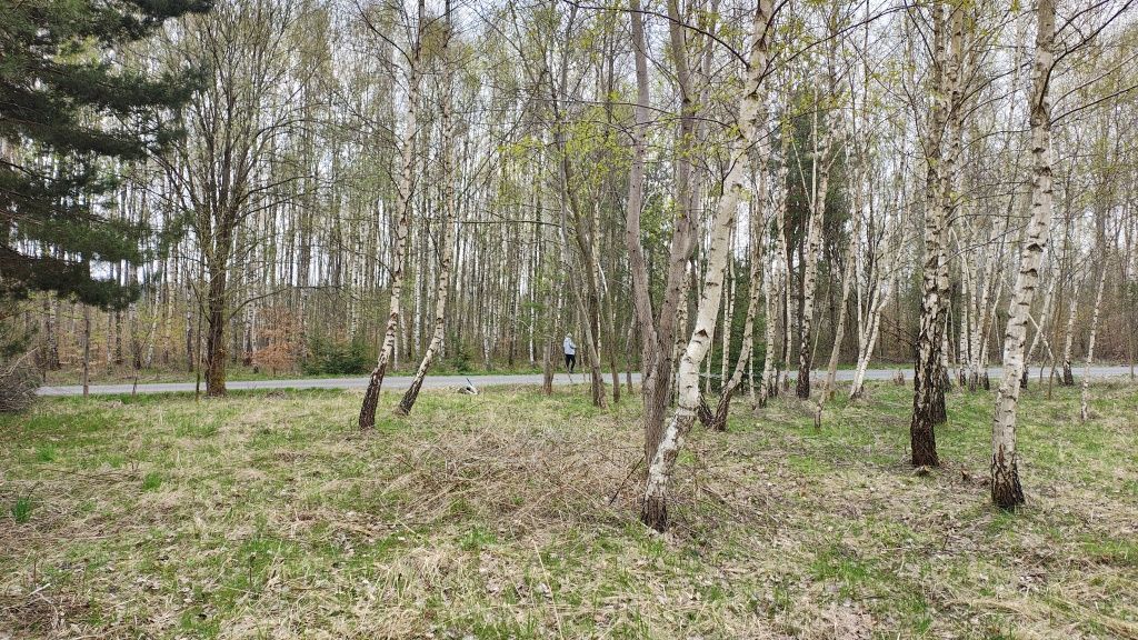 Działka budowlana Hucisko Nienadowskie. Zdjęcie 3