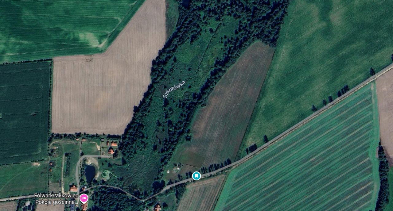 Działka rolno-budowlana Wierzbowo. Zdjęcie 2