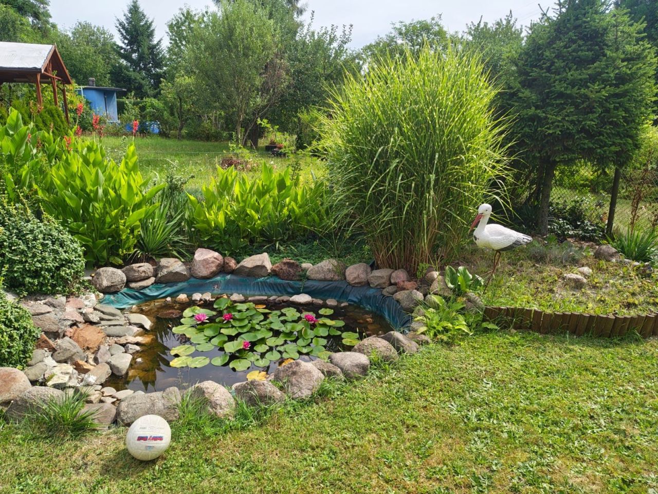 Działka rod Gliwice Kopernik. Zdjęcie 3