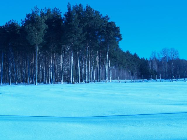 Działka budowlana Suraż, ul. 11 Listopada. Zdjęcie 1