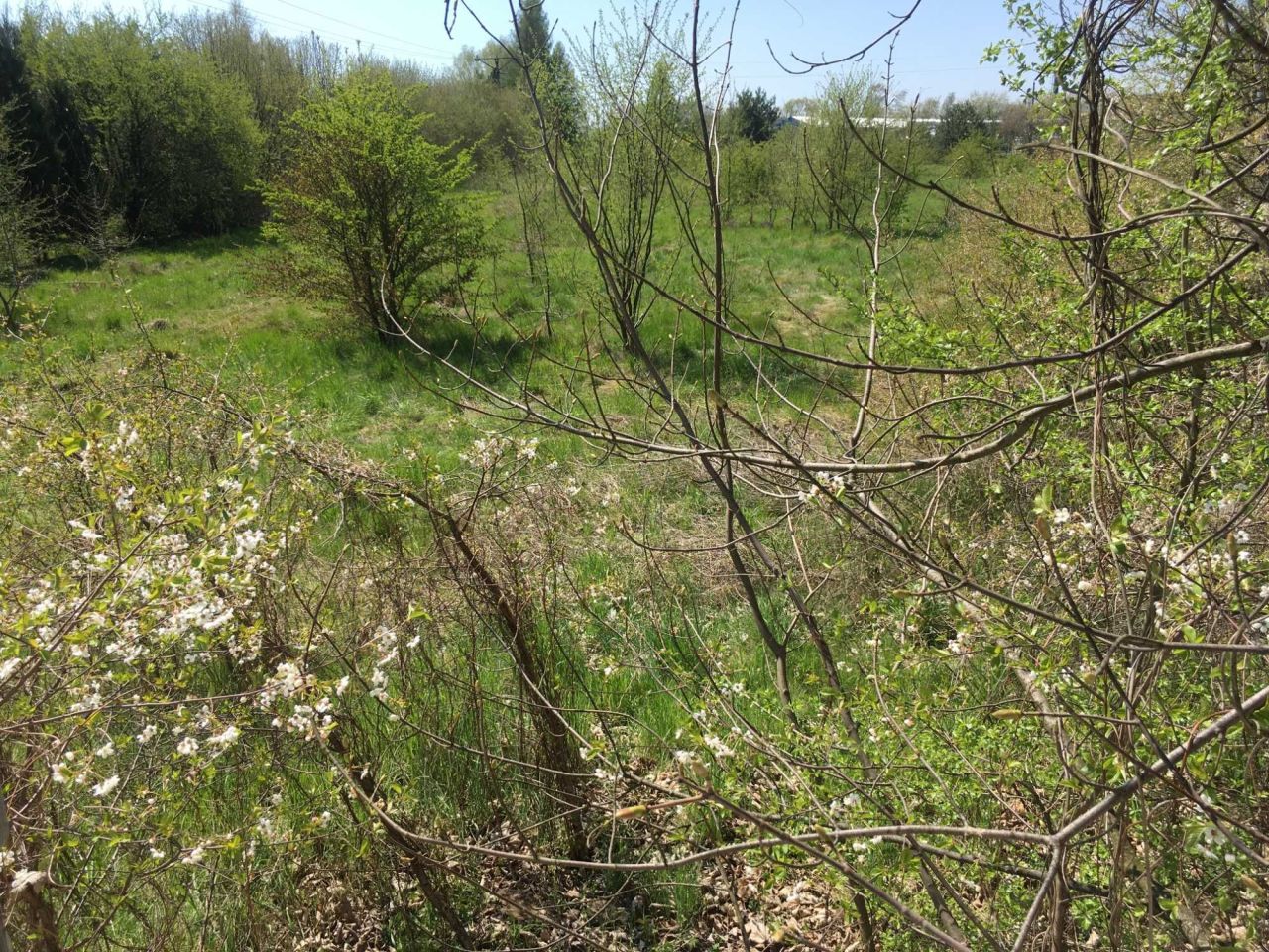 Działka budowlana Sokołów Podlaski, ul. Olszowa. Zdjęcie 8