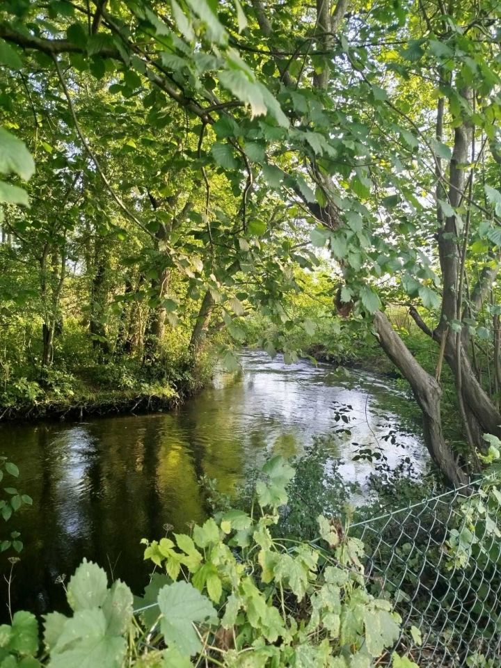 Działka rod Wejherowo, ul. Nadrzeczna