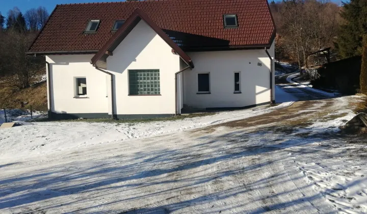 dom wolnostojący, 9 pokoi Żegiestów