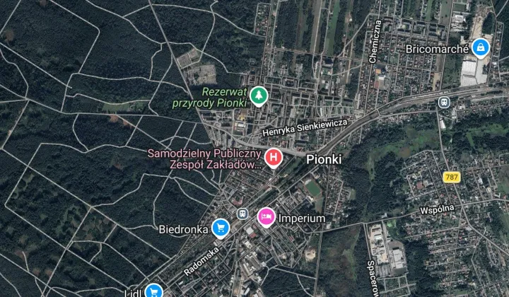 Lokal Pionki, ul. Adama Mickiewicza