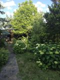 Działka rod Łódź Polesie, ul. Nowe Sady. Zdjęcie 3