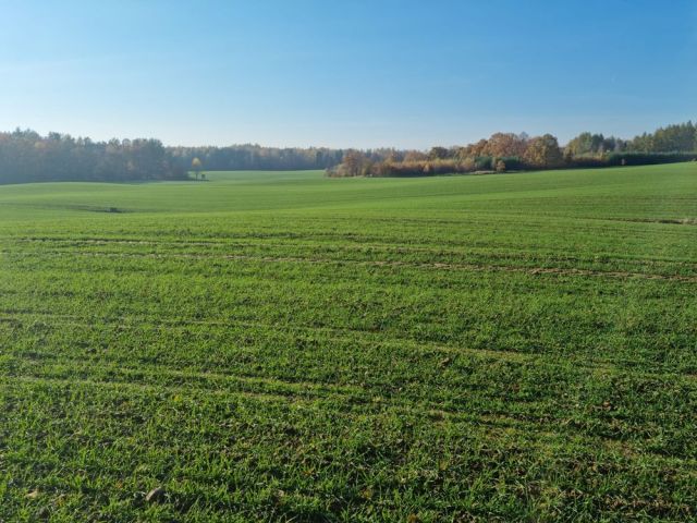 Działka budowlana Kamela, ul. Jeziorna. Zdjęcie 1