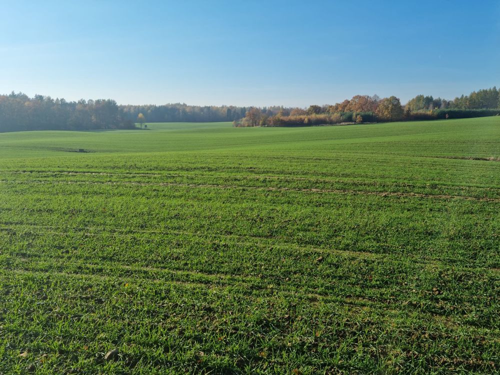 Działka budowlana Kamela, ul. Jeziorna