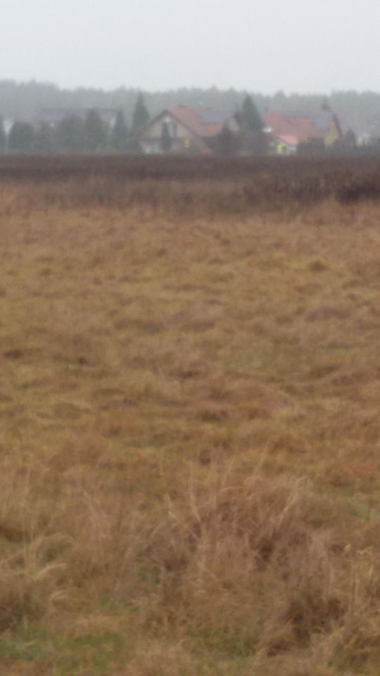 Działka rolna Szczecin Wielgowo, ul. Pod Lasem. Zdjęcie 2