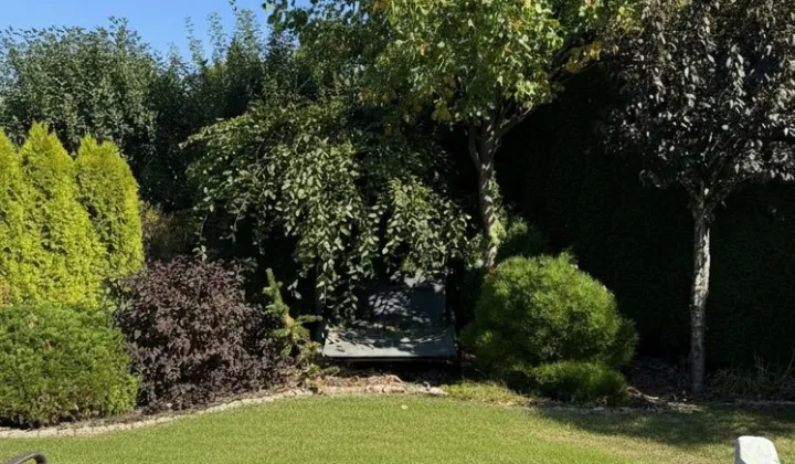 Działka budowlana Płock Borowiczki-Cukrownia, ul. Borowicka