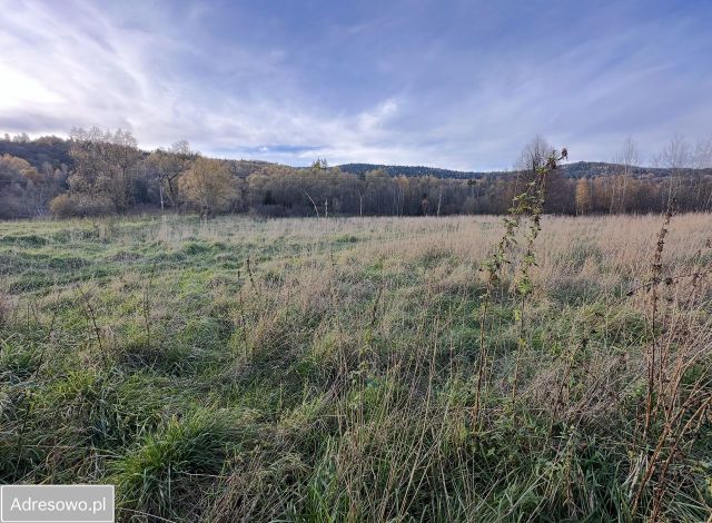 Działka budowlana Białka. Zdjęcie 1