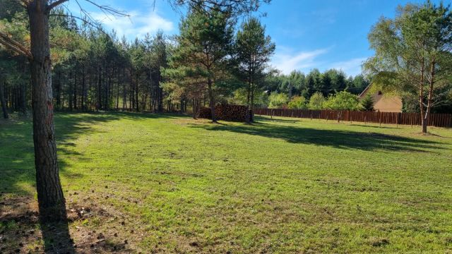 Działka siedliskowa Jerutki. Zdjęcie 1