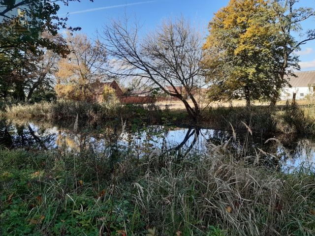 dworek, 20 pokoi Bojanowo. Zdjęcie 9