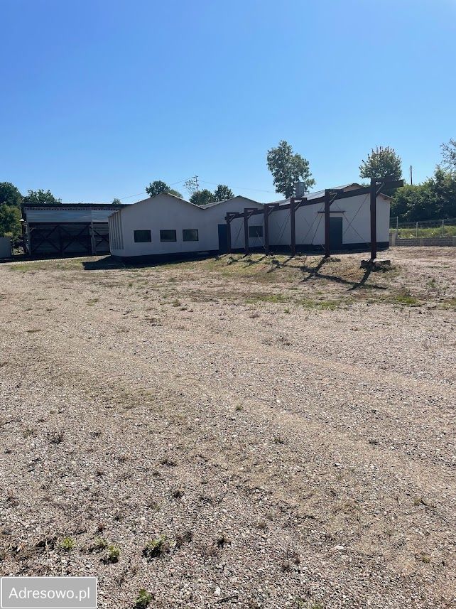 Hala/magazyn Przywidz. Zdjęcie 13