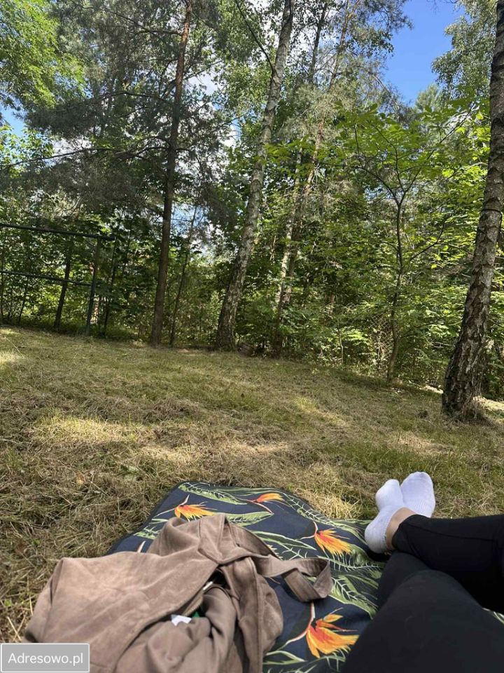 Działka budowlana Sierżnia. Zdjęcie 5