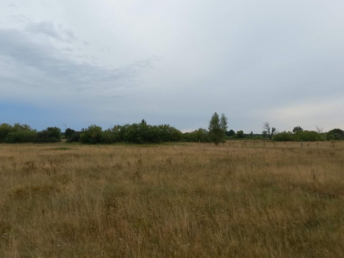 Działka rolna Kopnica. Zdjęcie 6