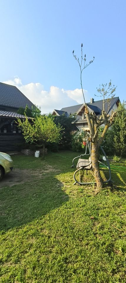 dom wolnostojący, 6 pokoi Przeździecko-Drogoszewo. Zdjęcie 7