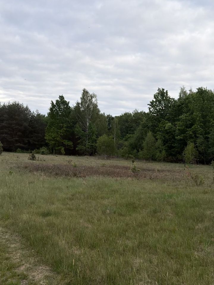 Działka leśna Nowe Wągrodno. Zdjęcie 1