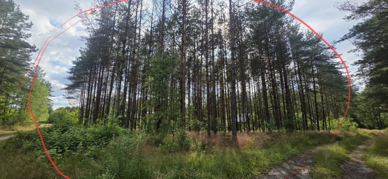 Działka rekreacyjna Niesiołowice. Zdjęcie 4