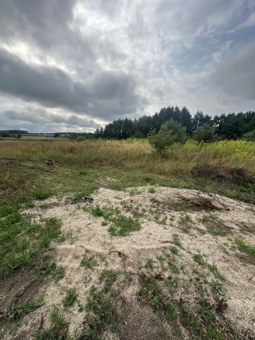 Działka budowlana Brzezie k. Sulechowa, ul. Jana Brzechwy. Zdjęcie 1
