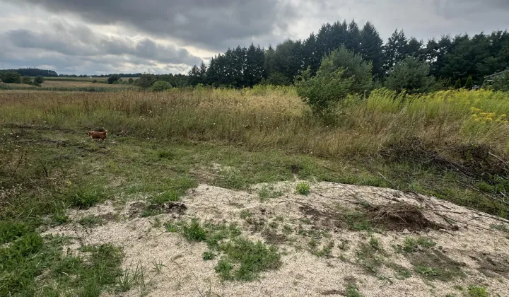 Działka budowlana Brzezie k. Sulechowa, ul. Jana Brzechwy