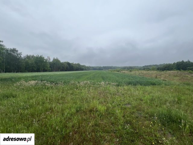 Działka rolno-budowlana Józefów. Zdjęcie 1