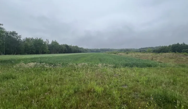 Działka rolno-budowlana Józefów