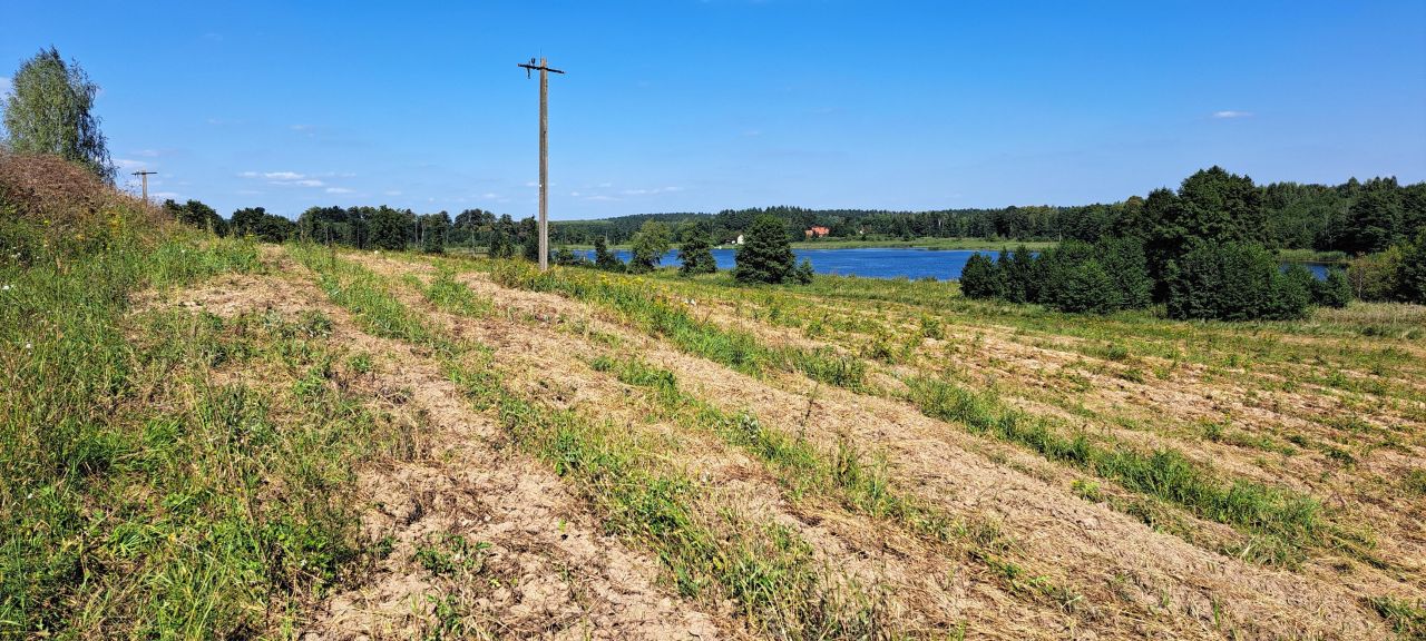 Działka rolna Cerkiewnik. Zdjęcie 5