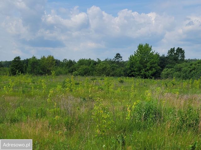 Działka inwestycyjna Białystok Krywlany. Zdjęcie 1