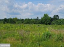 Działka inwestycyjna Białystok Krywlany