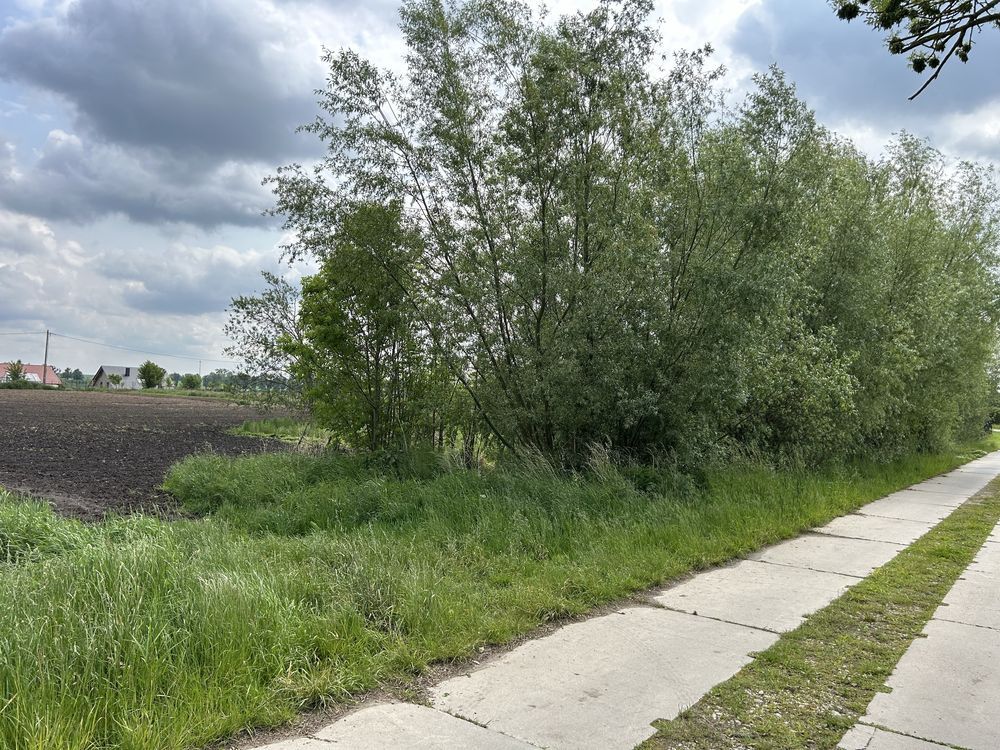 Działka budowlana Rakowiec, ul. Wschodnia. Zdjęcie 4