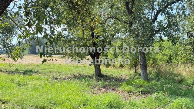 Działka rolna Tomaszów Mazowiecki Nagórzyce, ul. Ludowa. Zdjęcie 5