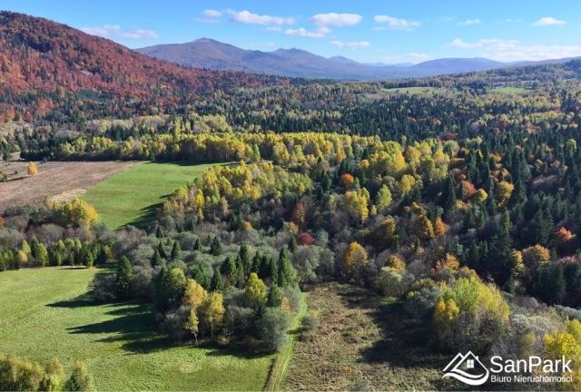 Działka rolna Krzywe. Zdjęcie 3