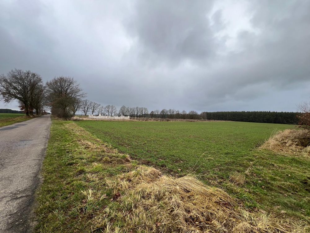 Działka budowlana Bielkowo. Zdjęcie 3