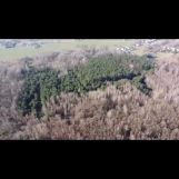 Działka leśna Gąsocin. Zdjęcie 4