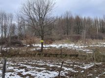 Działka budowlana Przedmieście Dubieckie. Zdjęcie 2