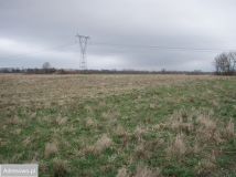 Działka rolna Stojkowo. Zdjęcie 4