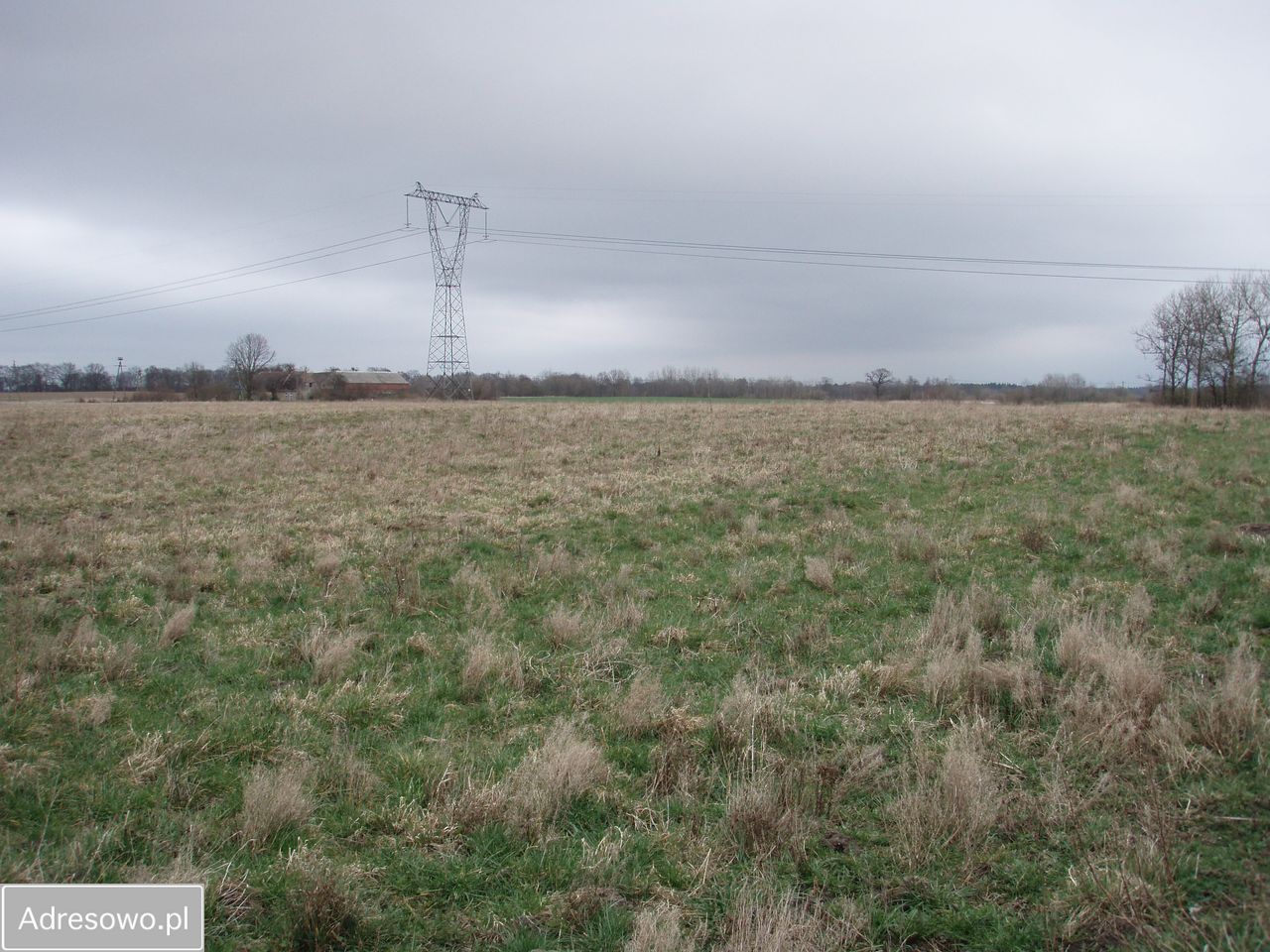 Działka rolna Stojkowo. Zdjęcie 5