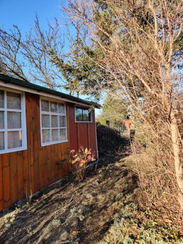 Działka rod Łódź Stoki, ul. Jana Dębowskiego. Zdjęcie 1