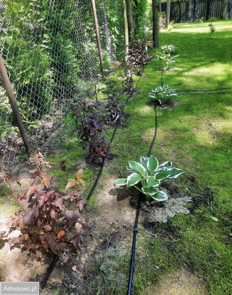 Działka budowlana Władysławów. Zdjęcie 6