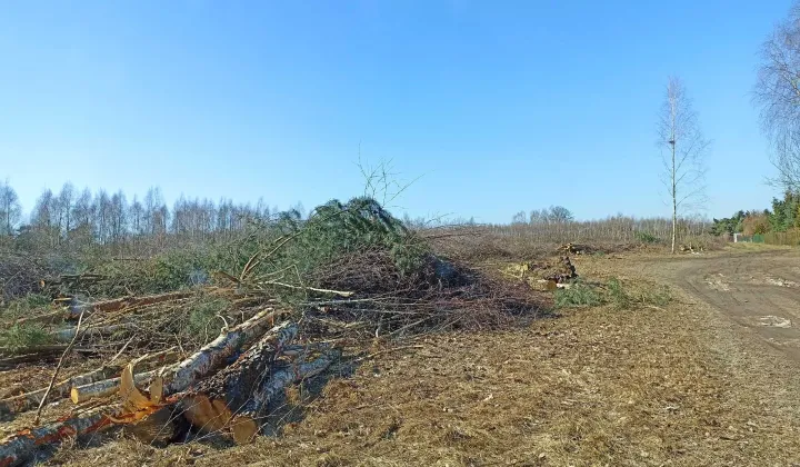 Działka budowlana Łódź Wiskitno