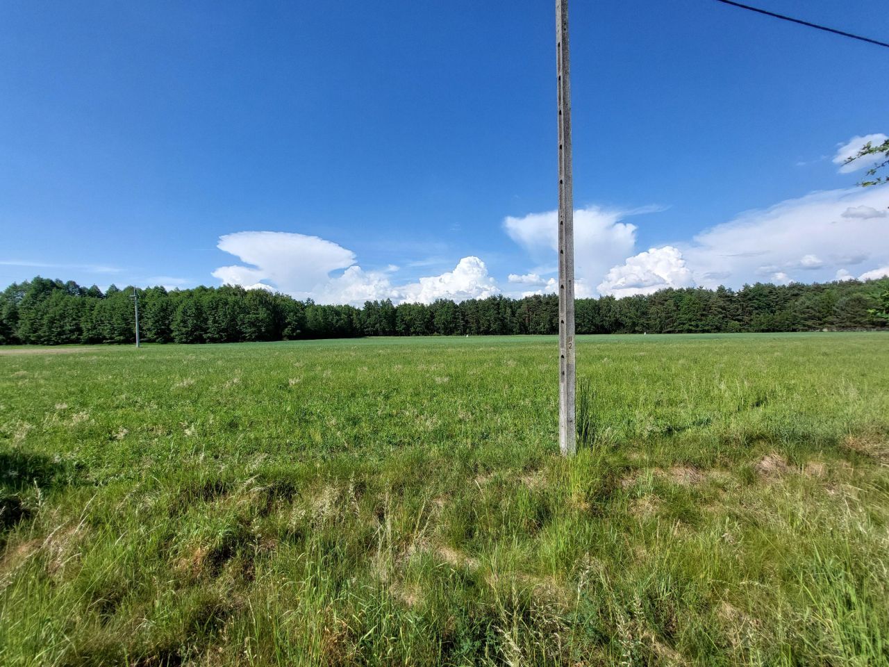 Działka rolno-budowlana Zamęty. Zdjęcie 18