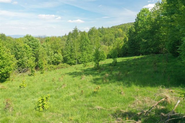 Działka budowlana Piechowice. Zdjęcie 10