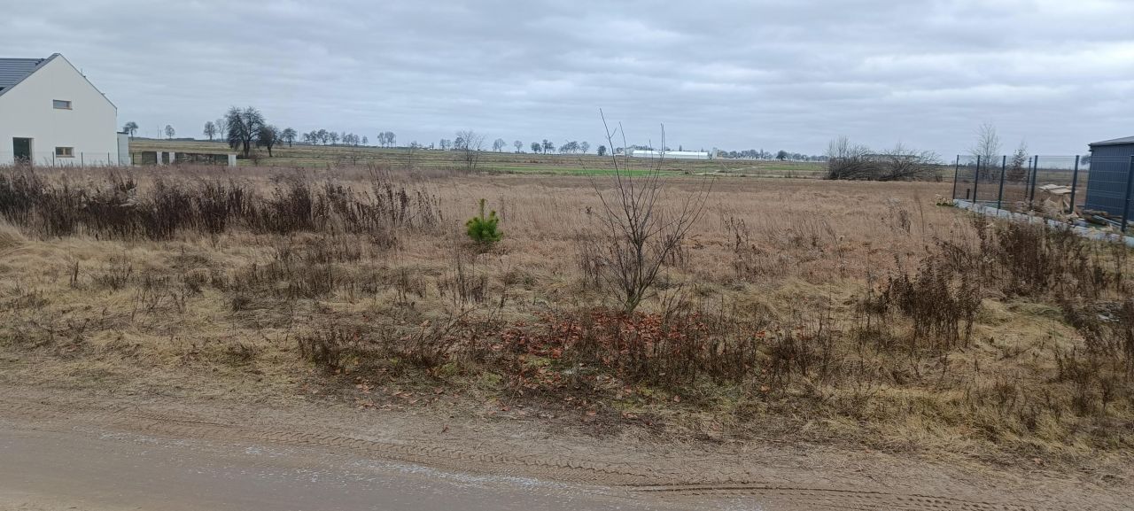Działka budowlana Rybienko Stare, ul. Księżycowa. Zdjęcie 5