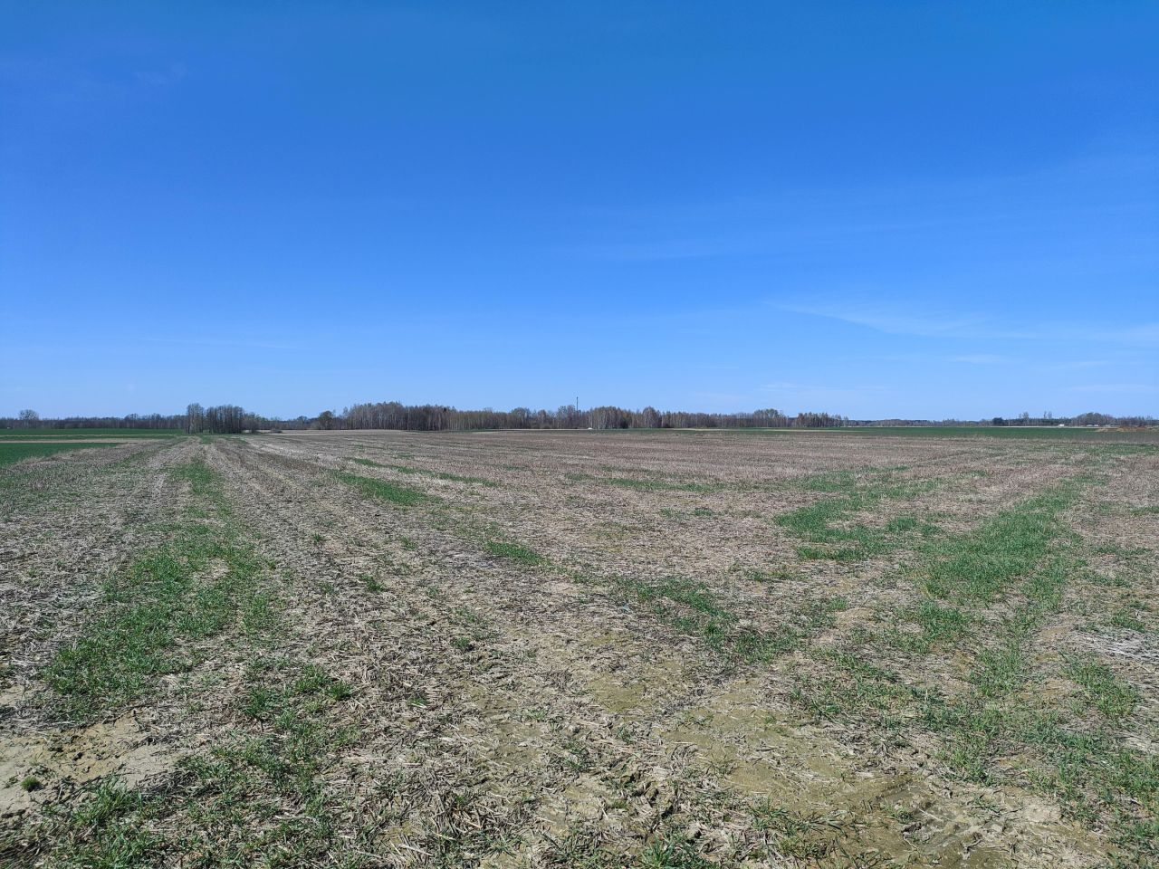 Działka rolna Ostrów Lubelski Dzielnica Lubelska, ul. Poniatowskiego. Zdjęcie 5