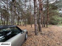 Działka budowlana Łoś, ul. Spacerowa. Zdjęcie 2