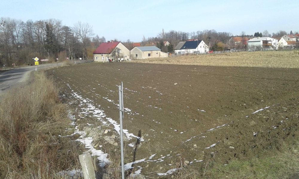 Działka rolno-budowlana Sieniawka. Zdjęcie 2