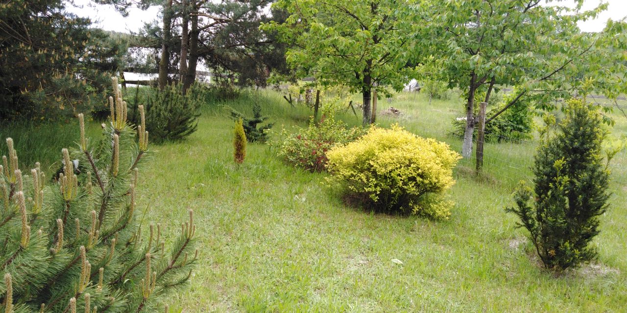 Działka budowlana Weronikopole. Zdjęcie 7