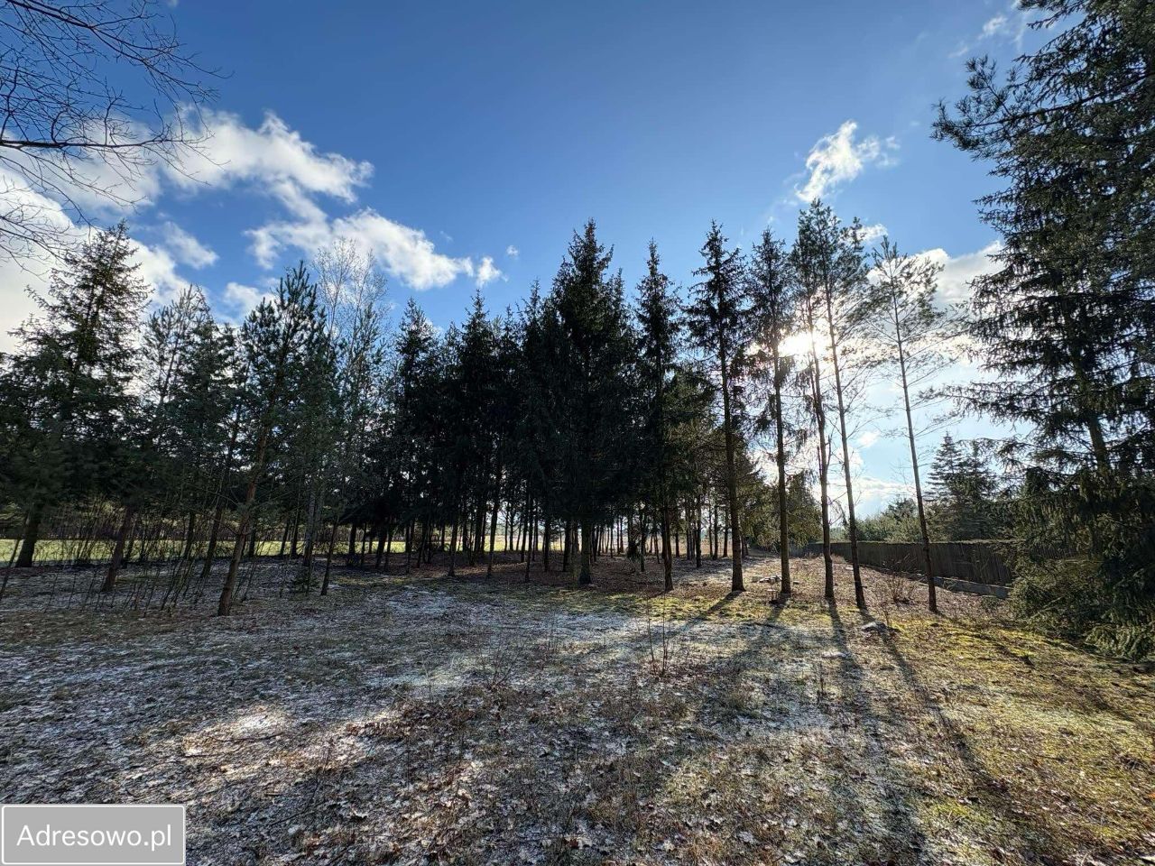 Działka budowlana Białobrzeg Dalszy, ul. Spokojna. Zdjęcie 2