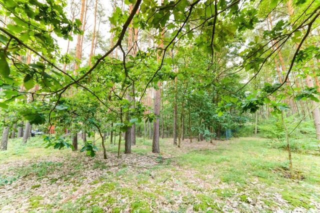 Działka rekreacyjna Poddębie. Zdjęcie 21