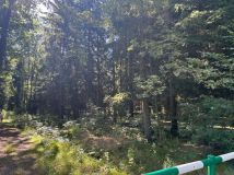 Działka siedliskowa Łomnica, ul. Karpnicka. Zdjęcie 4